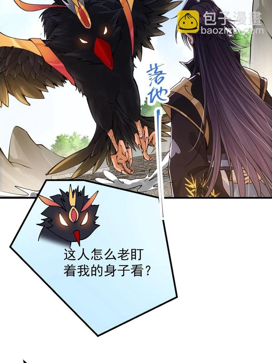 081 识酒悦美人