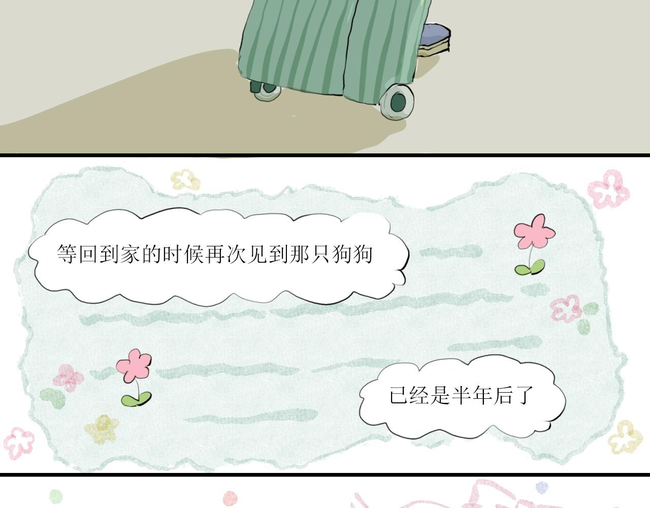 邻居家的小狗