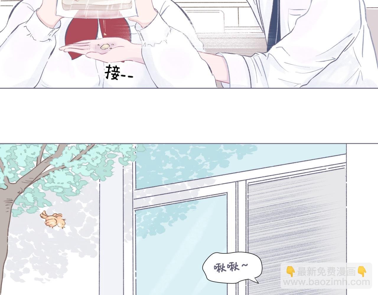 吐司超人（1）