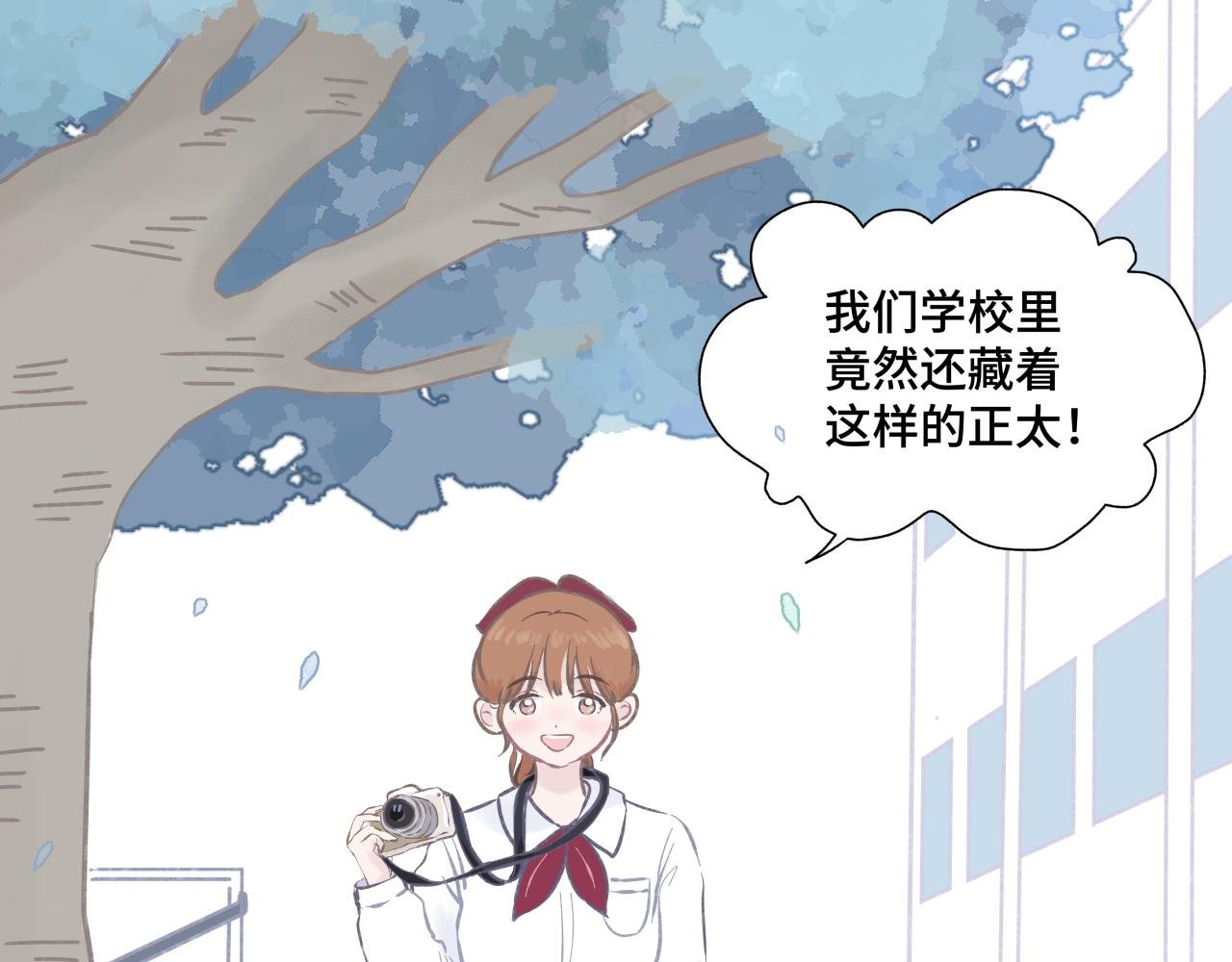 幻灭的花美男