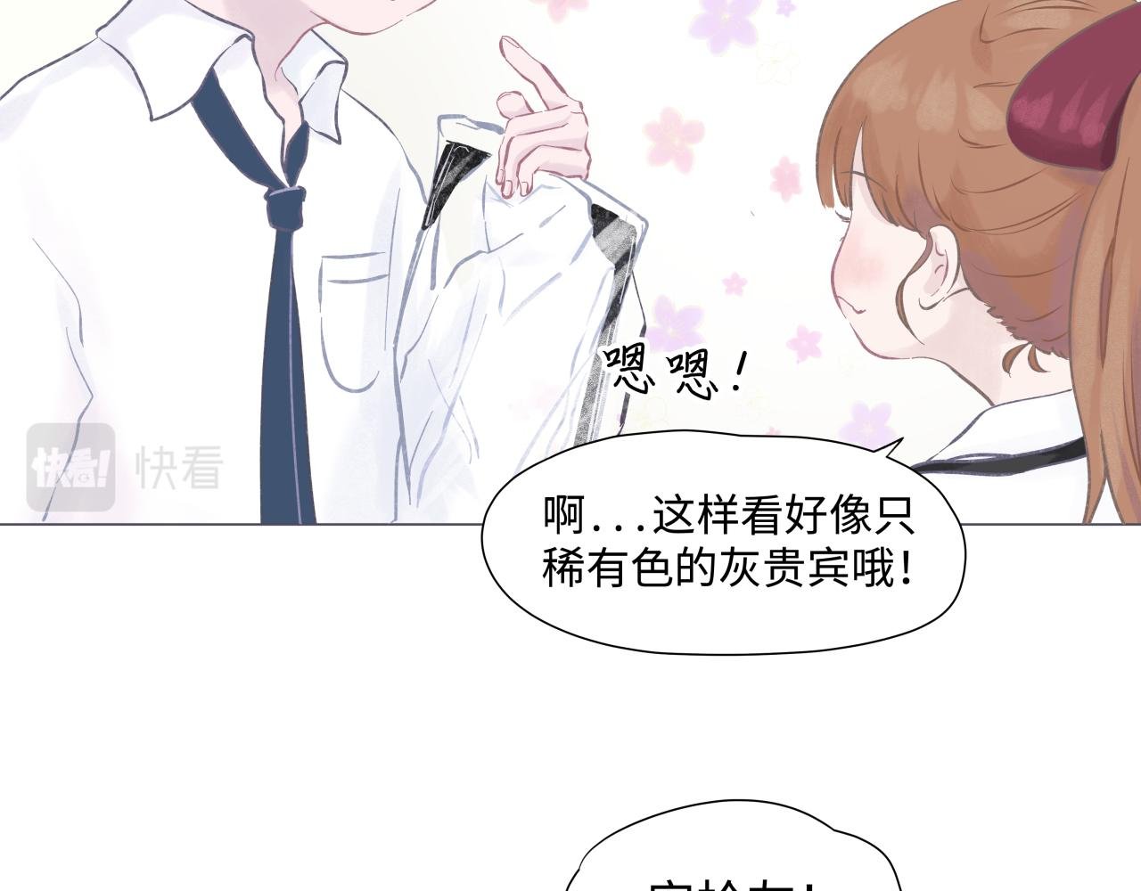 幻灭的花美男