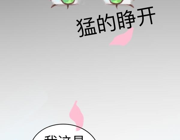 穿书了