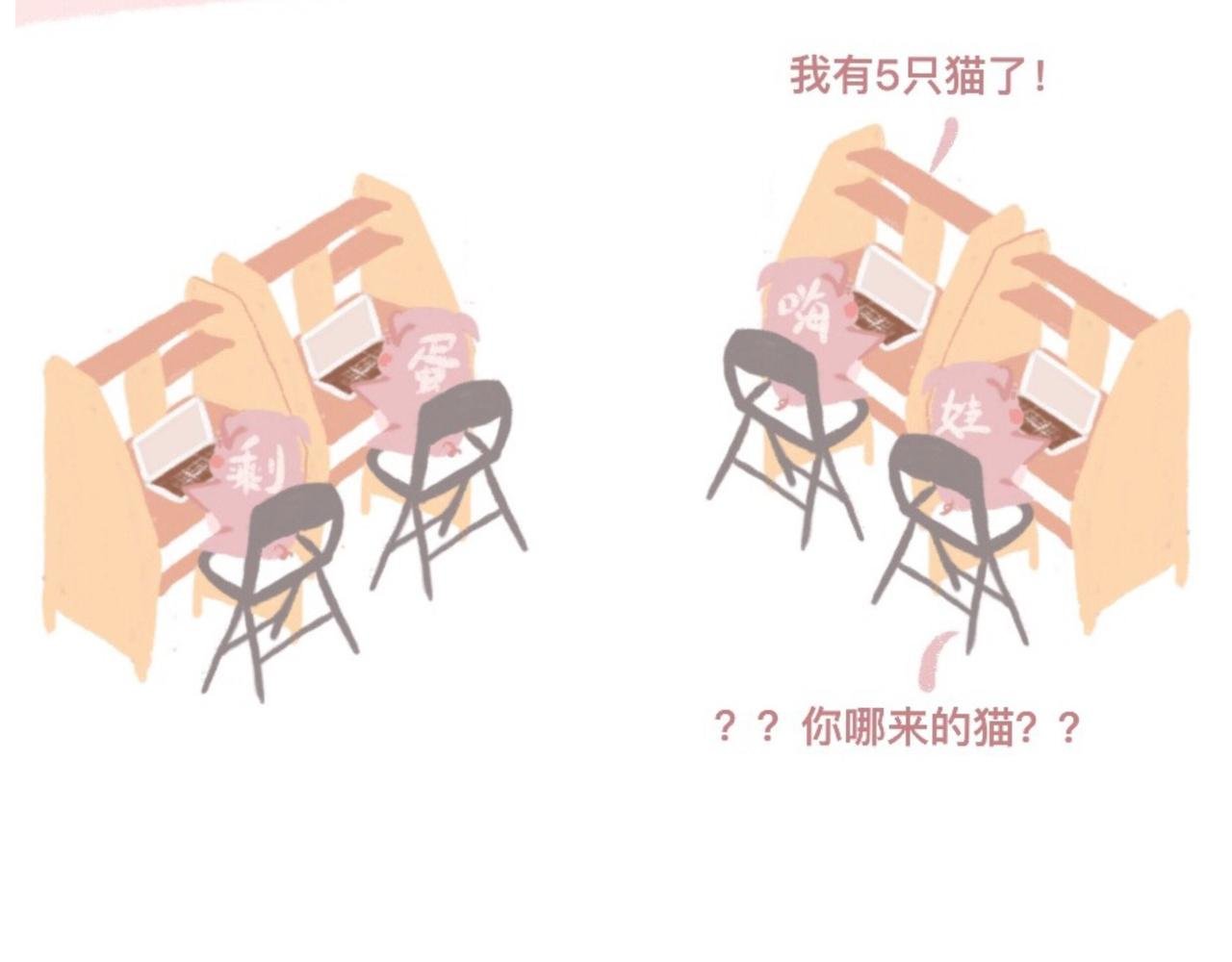 带饭、减肥、折被子