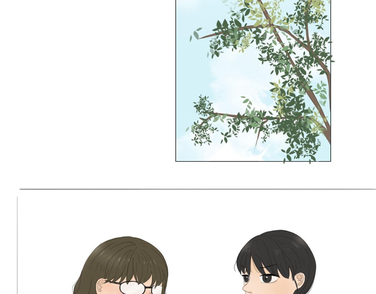 新来的体育老师