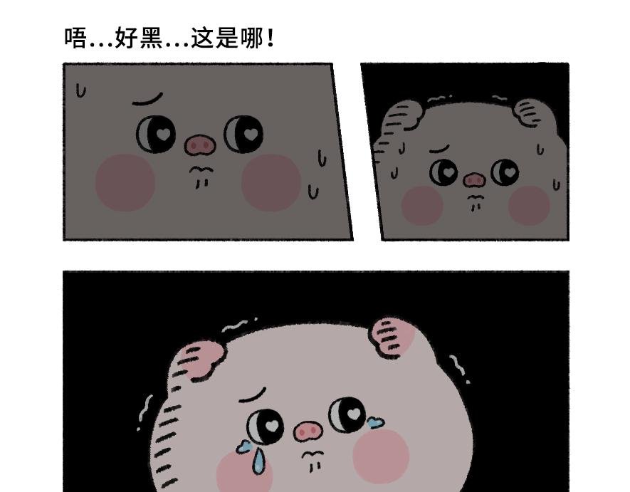 03 - 爱的礼物