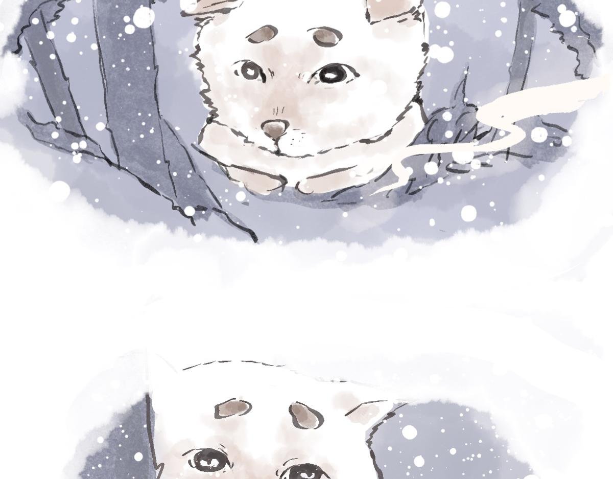 下篇