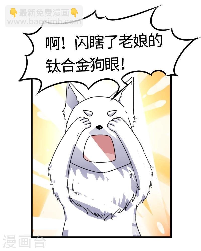 第100话 献礼