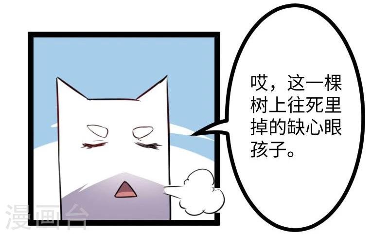 第117话 复杂的五角恋