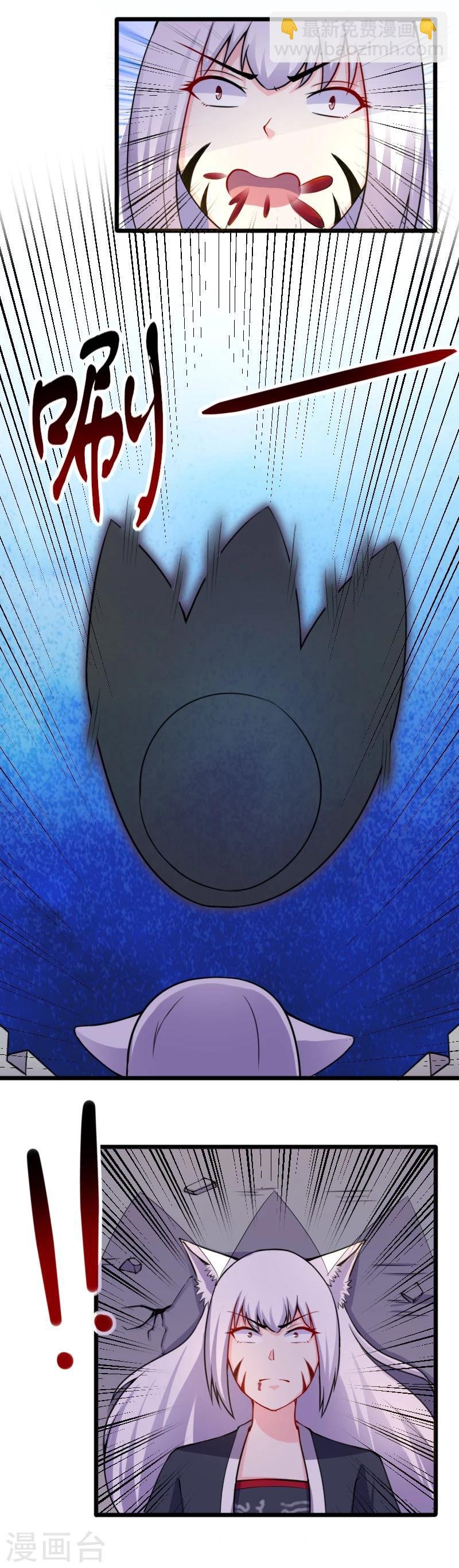 第177话 熊VS狐狸