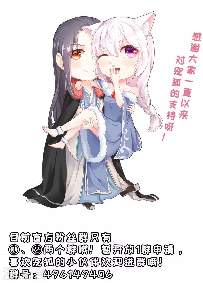 第177话 熊VS狐狸