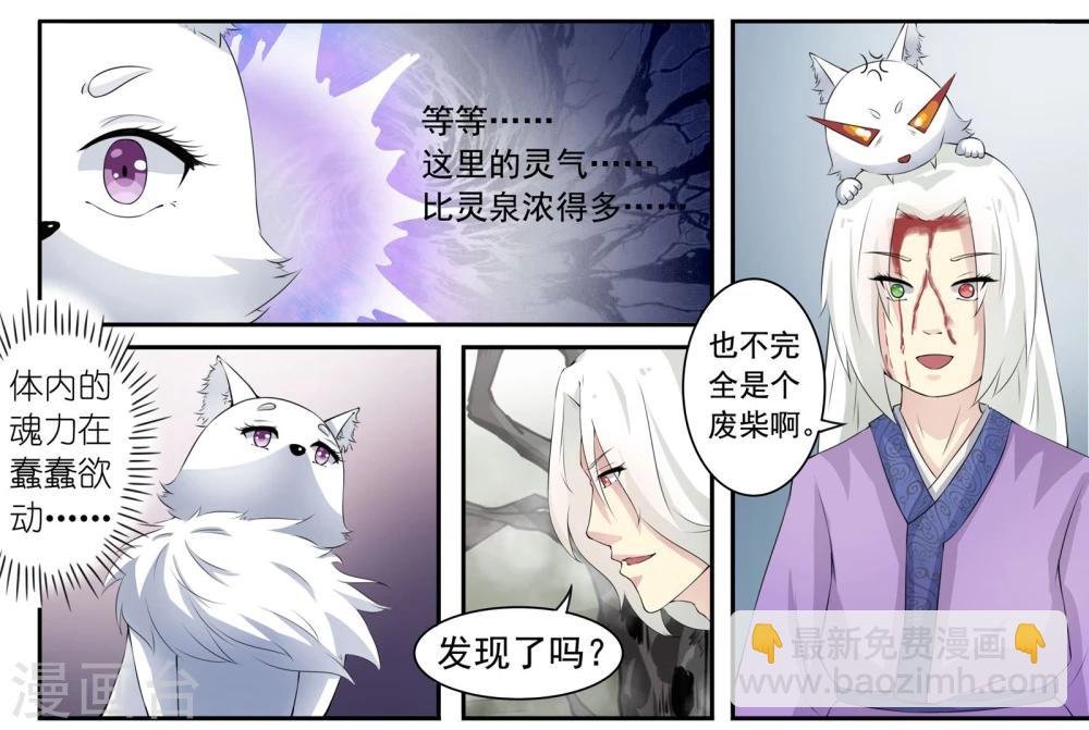 第26话 水晶赤凤鼎