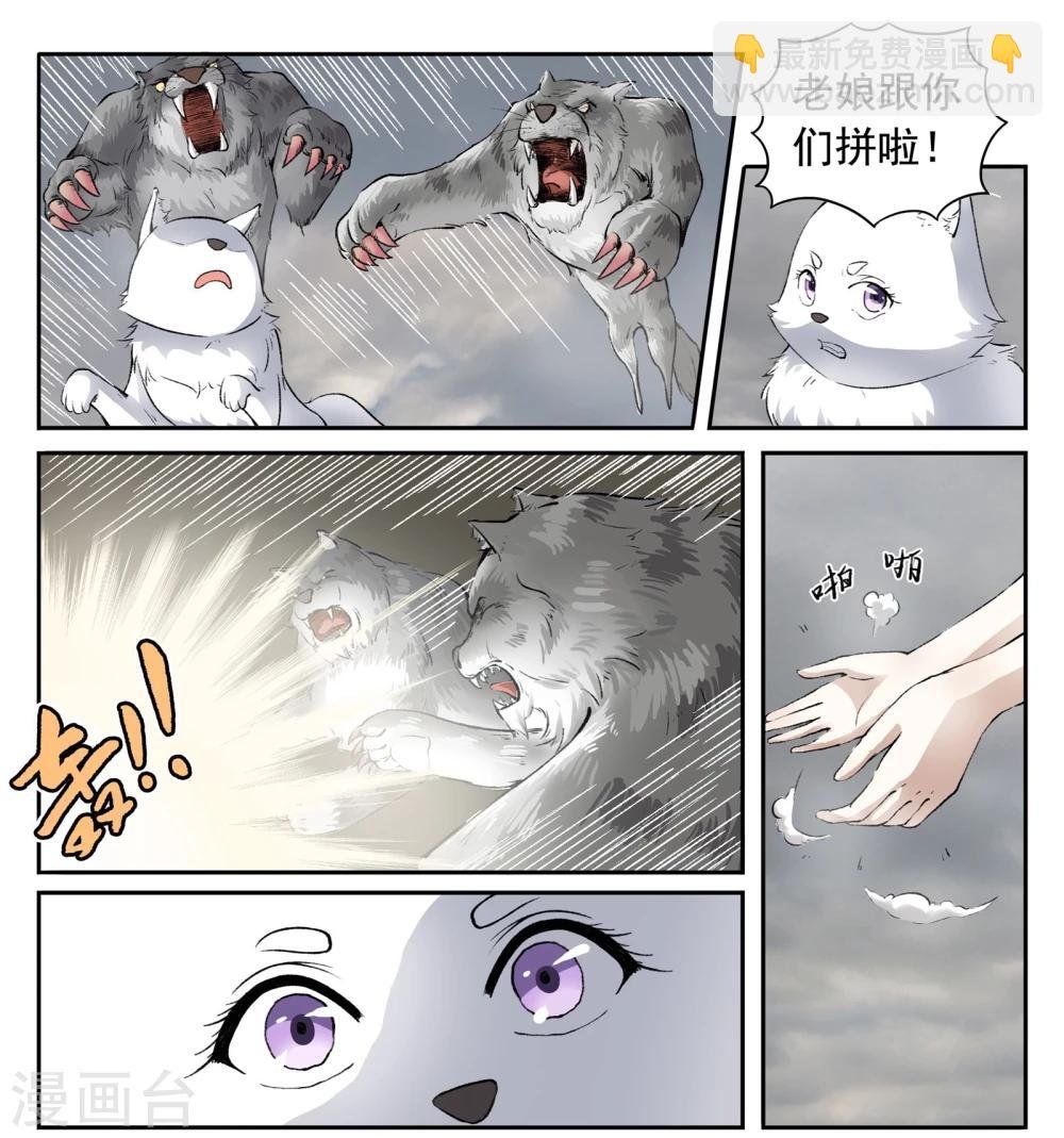 第31话 虎魂