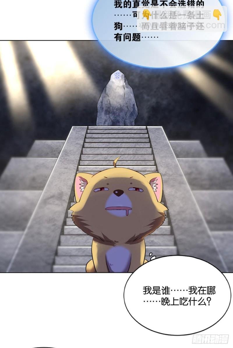 再见了，狗系统！