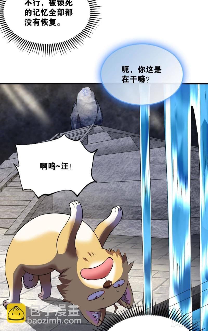 再见了，狗系统！