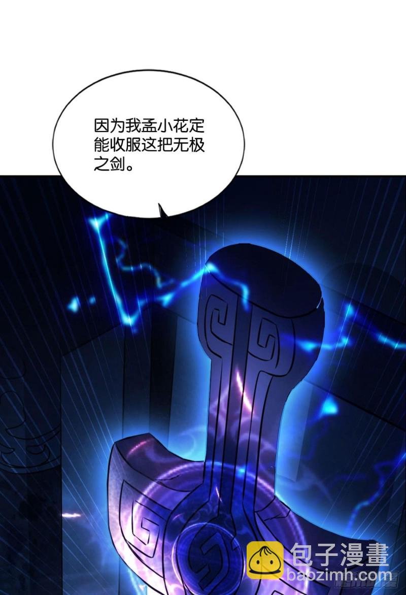 我于三日斩飞花
