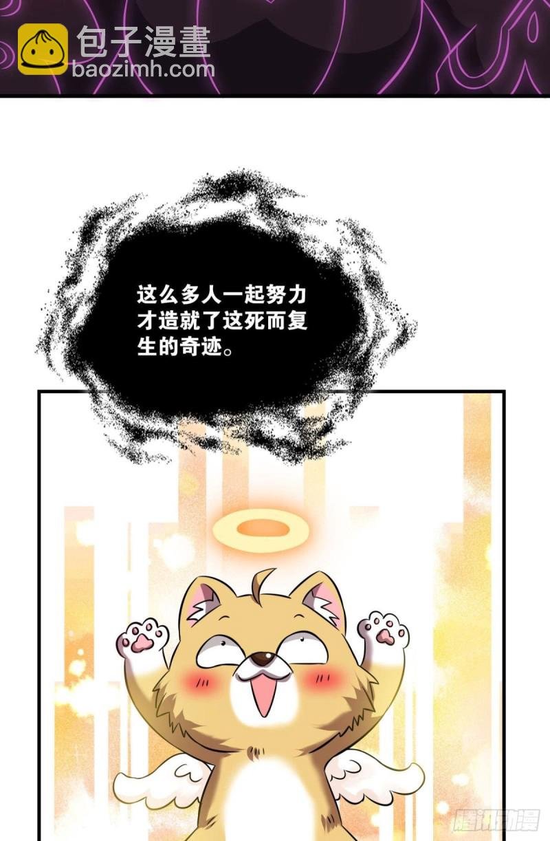 我于三日斩飞花