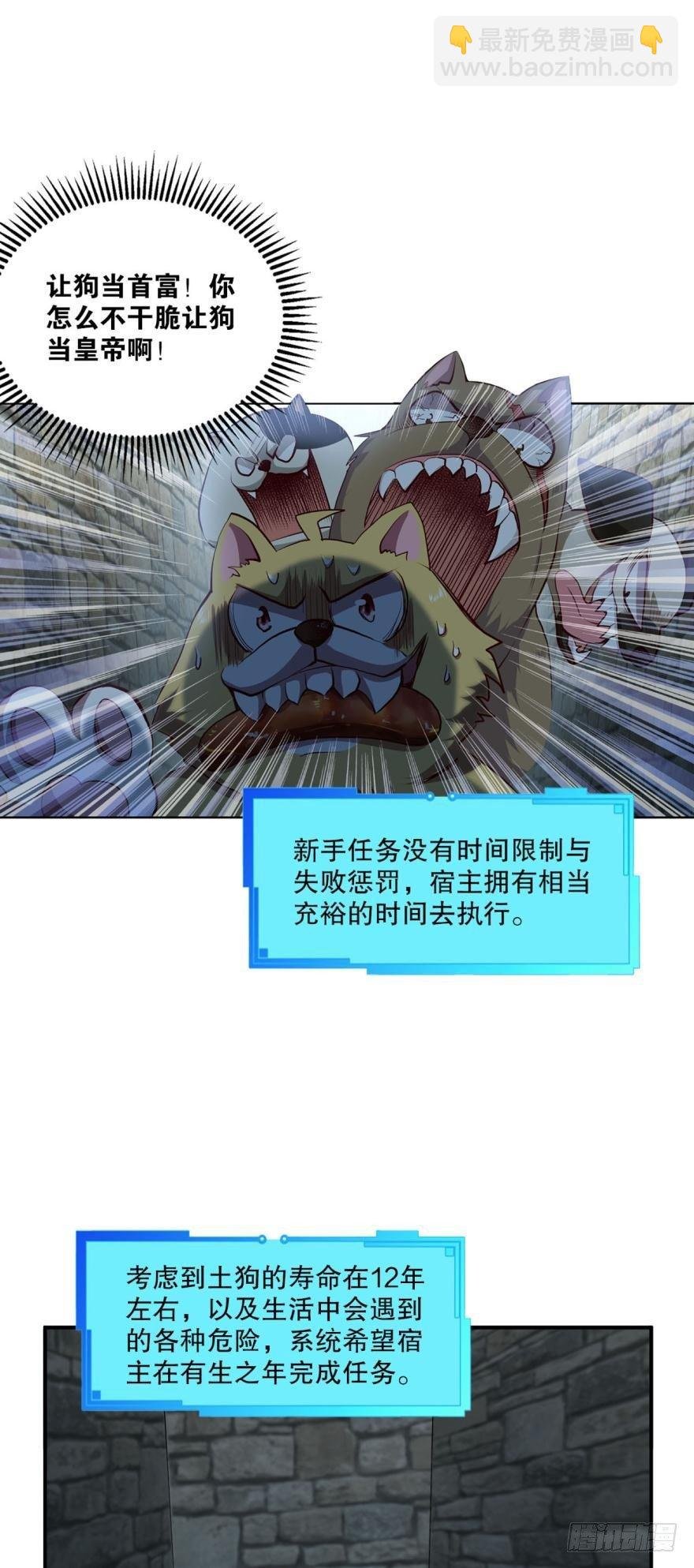 狗日子