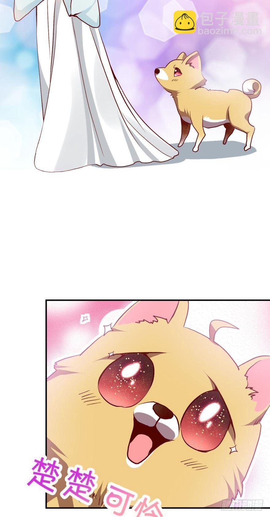 狗日子