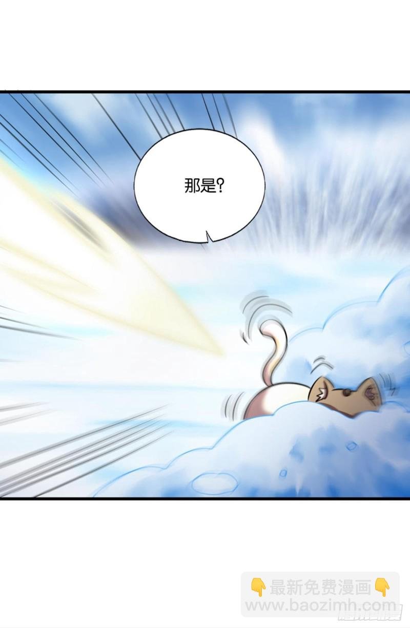 光耀如我