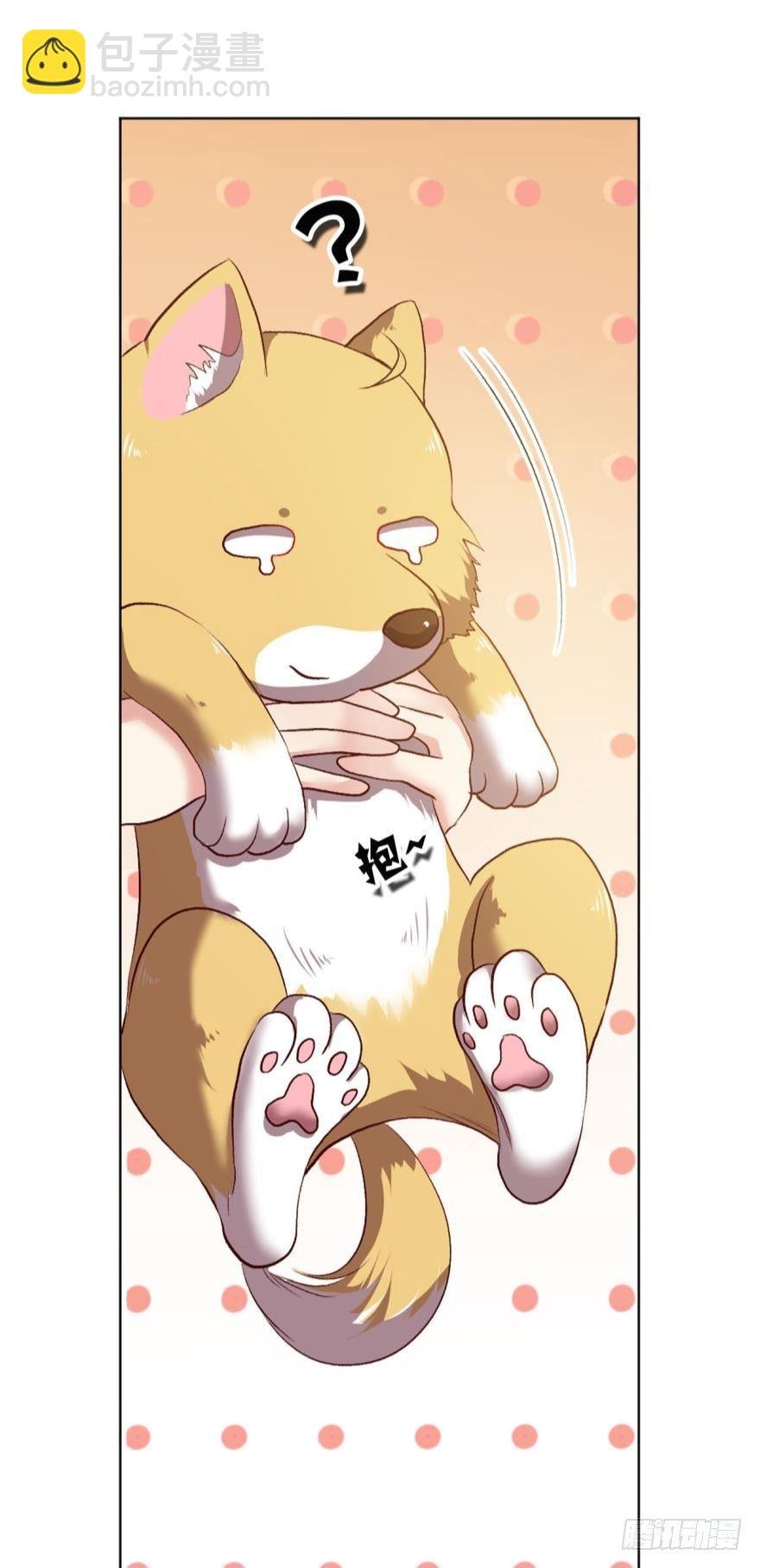 红尘三千丈，筑我登云梯