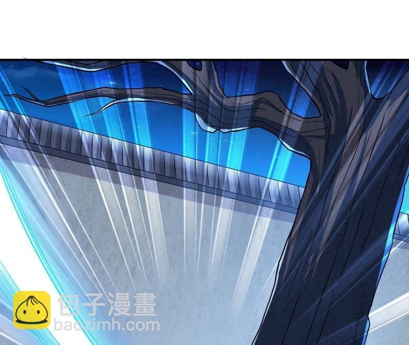 第14话 神法境高手