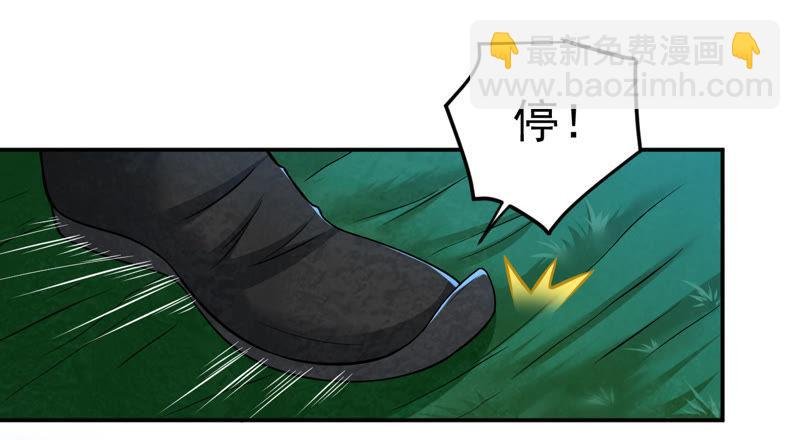 第14话 神法境高手