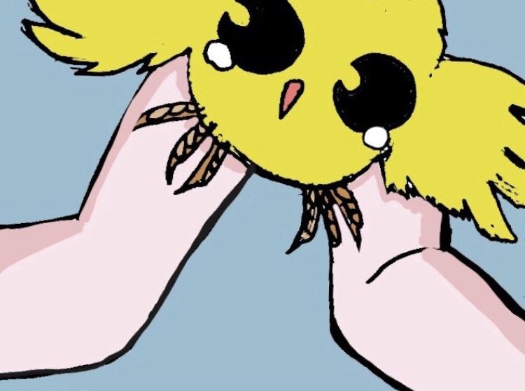 从天而降的少女
