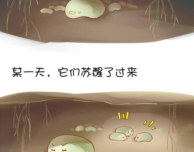 一棵树 （中）