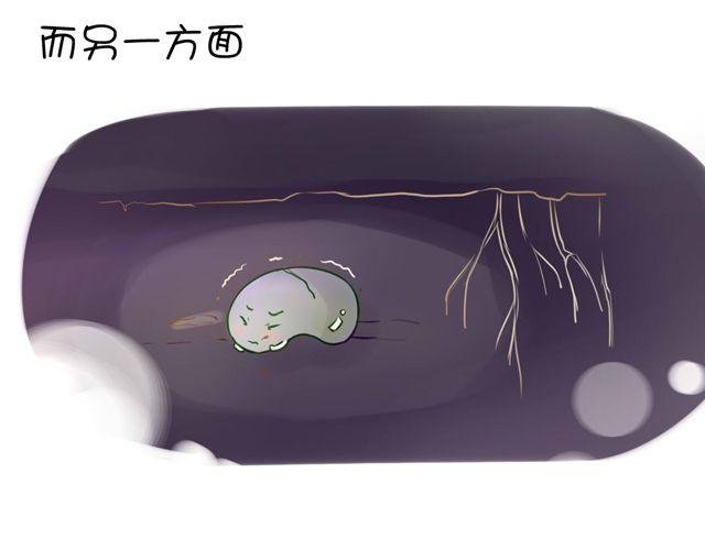 一棵树 （中）