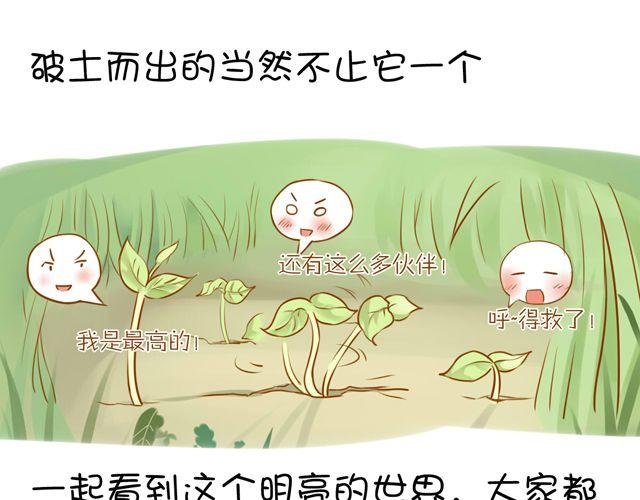 一棵树 （中）