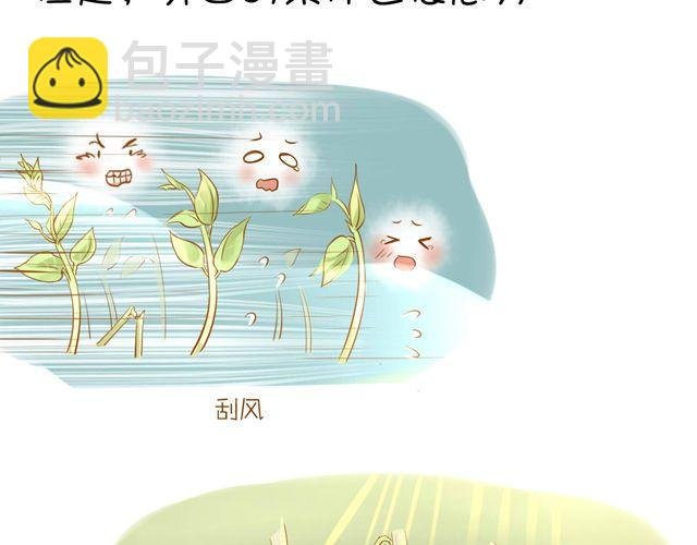 一棵树 （中）