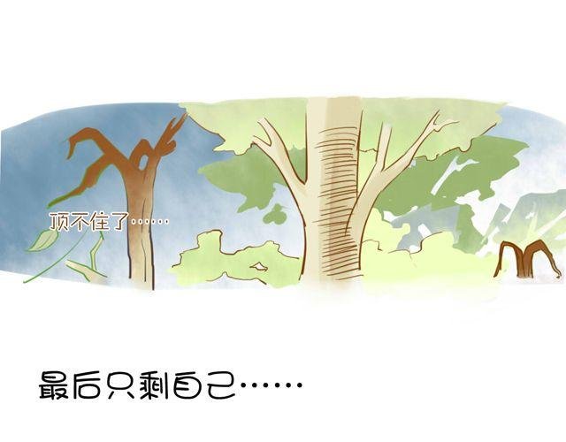 一棵树 （中）