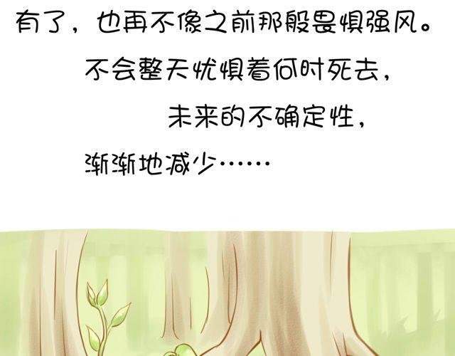 一棵树 （中）