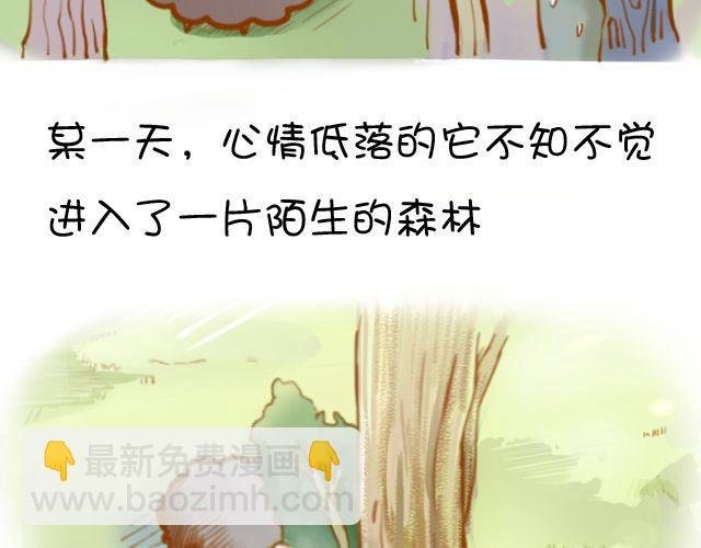 一棵树（上）