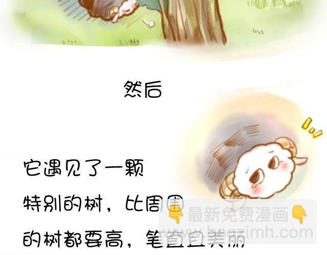 一棵树（上）