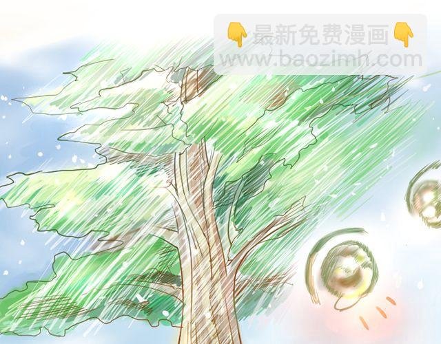 一棵树（上）