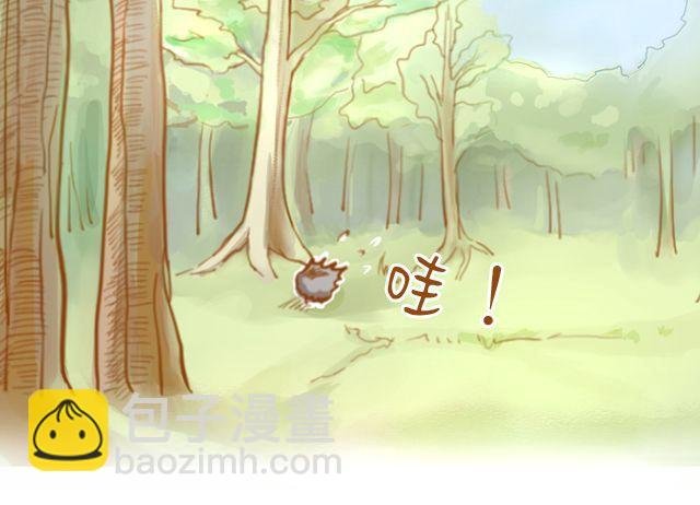 一棵树（上）