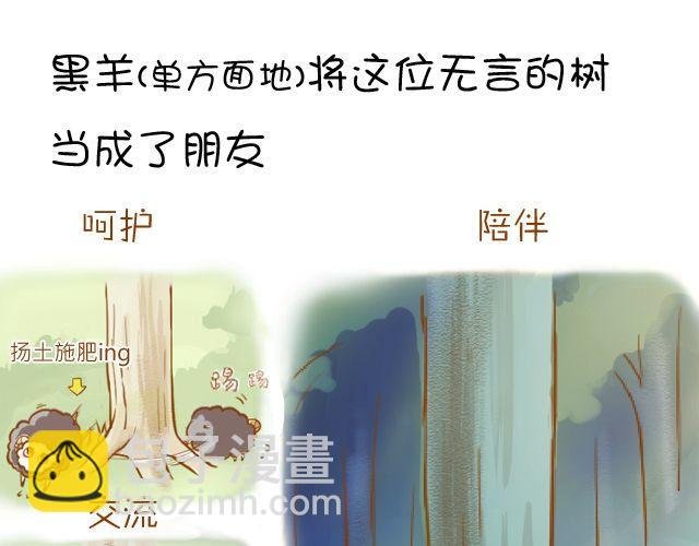 一棵树（上）