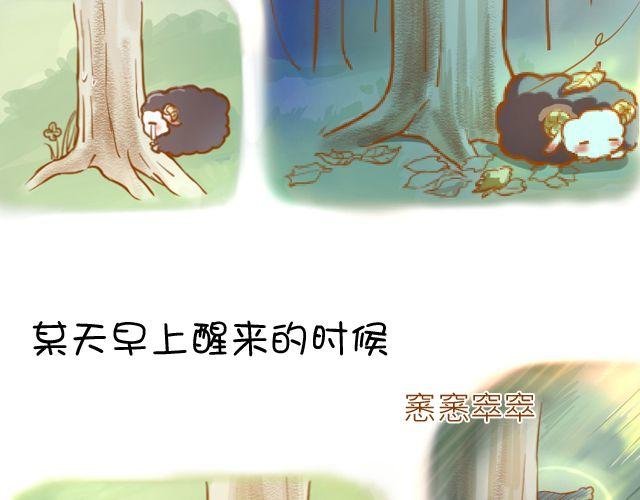 一棵树（上）