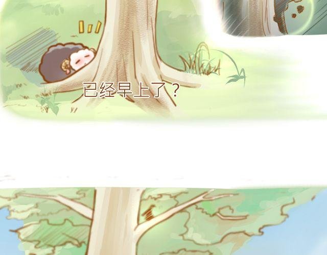一棵树（上）