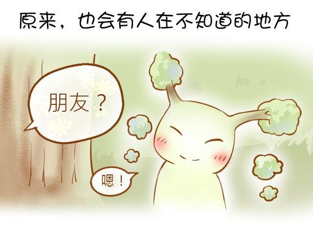 一棵树（上）
