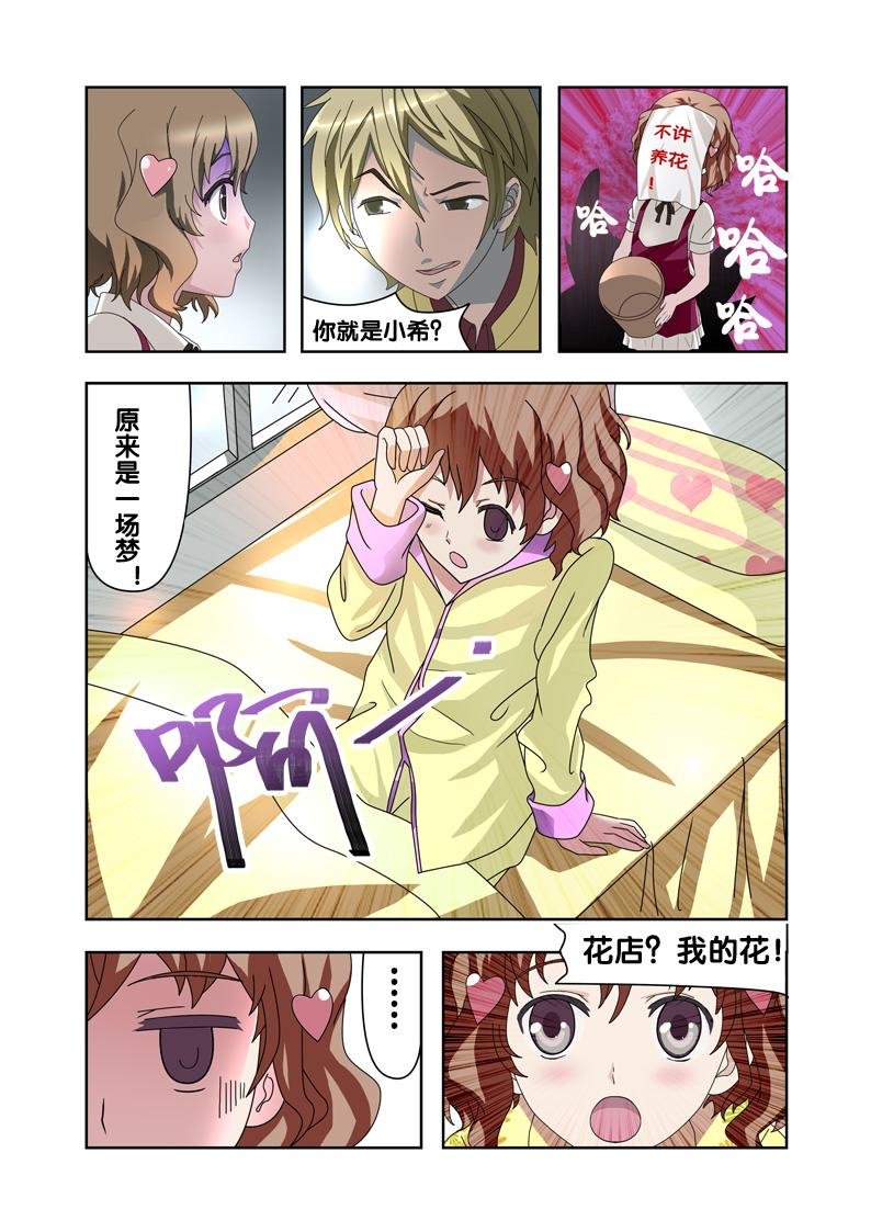 叶子花开