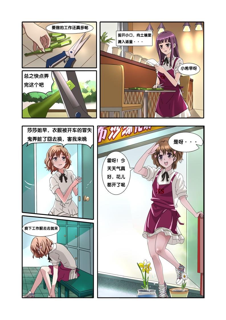 叶子花开