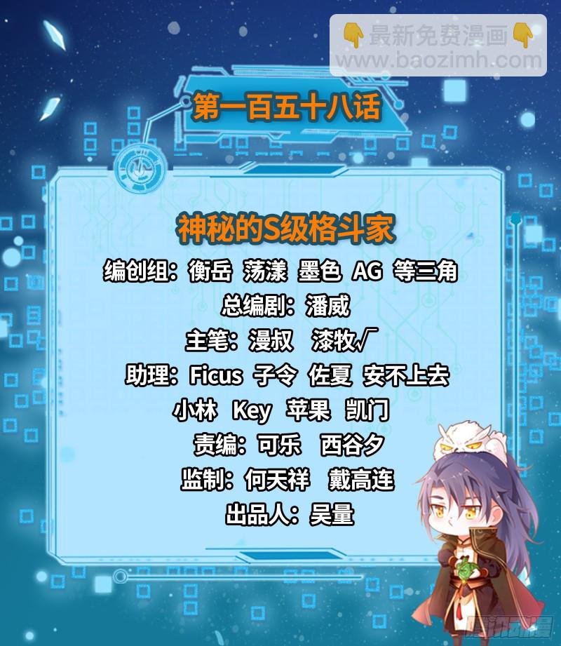 神秘的S级格斗家
