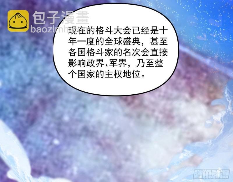 神秘的S级格斗家