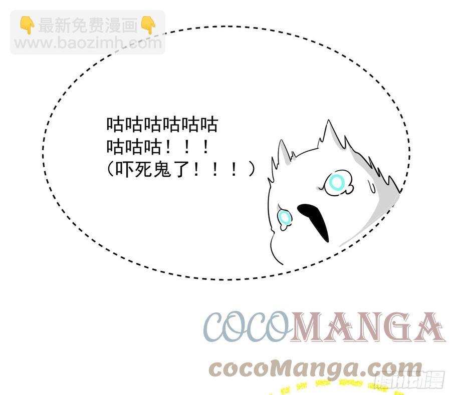 青儿带来的大惊喜