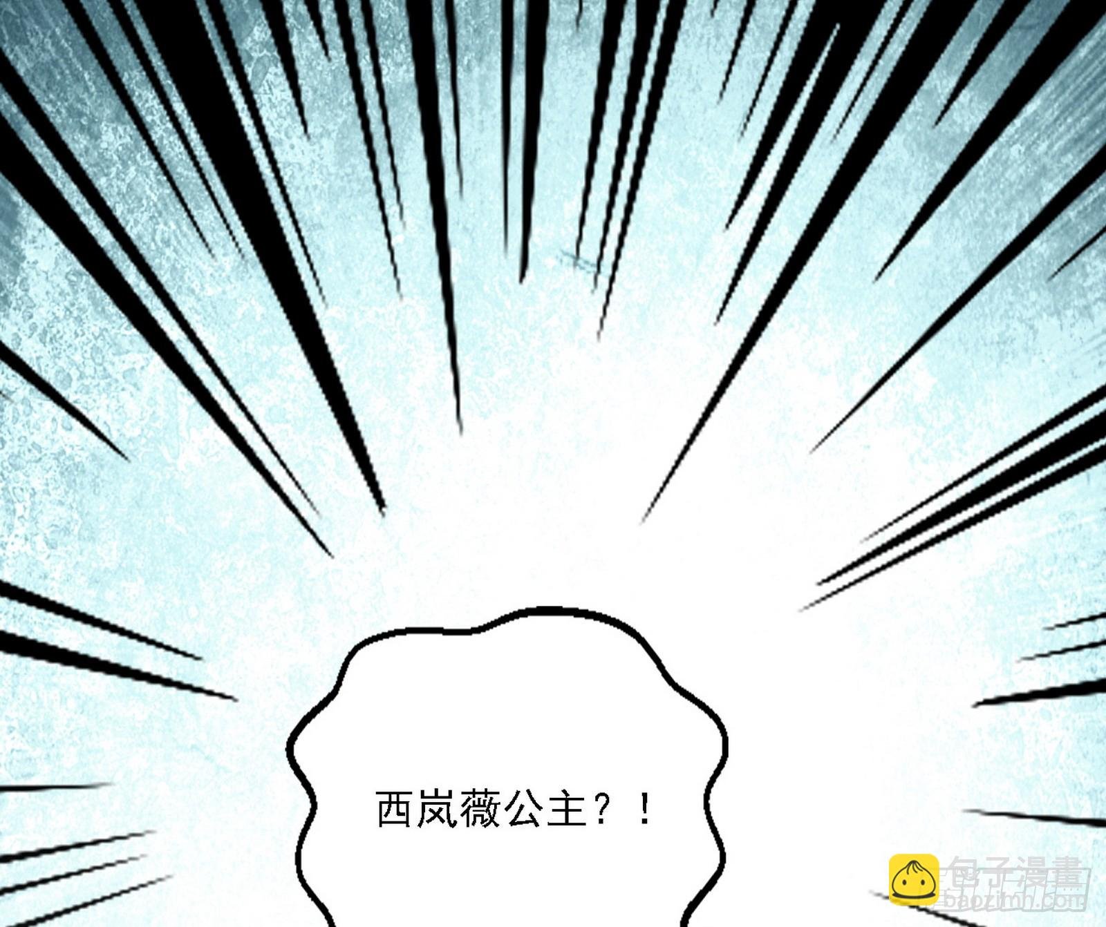 西岚公主西岚薇