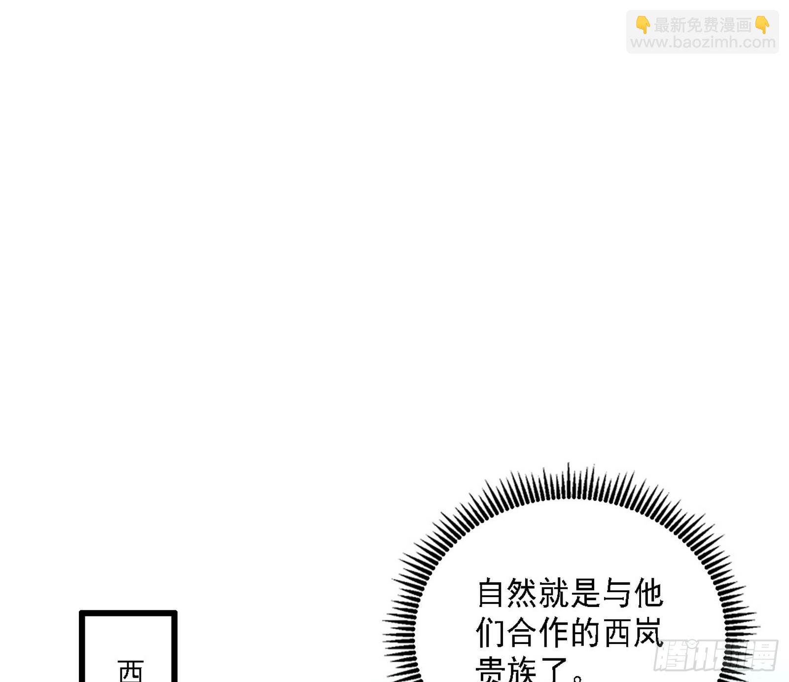 西岚公主西岚薇