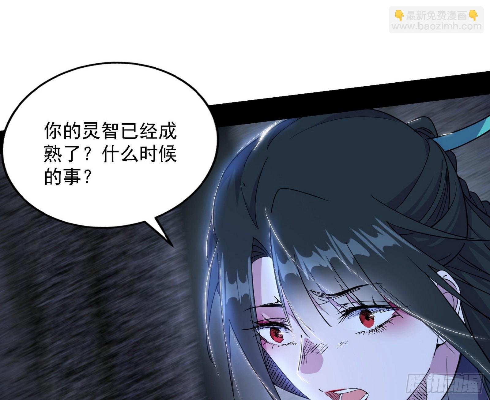 媚冷之殇