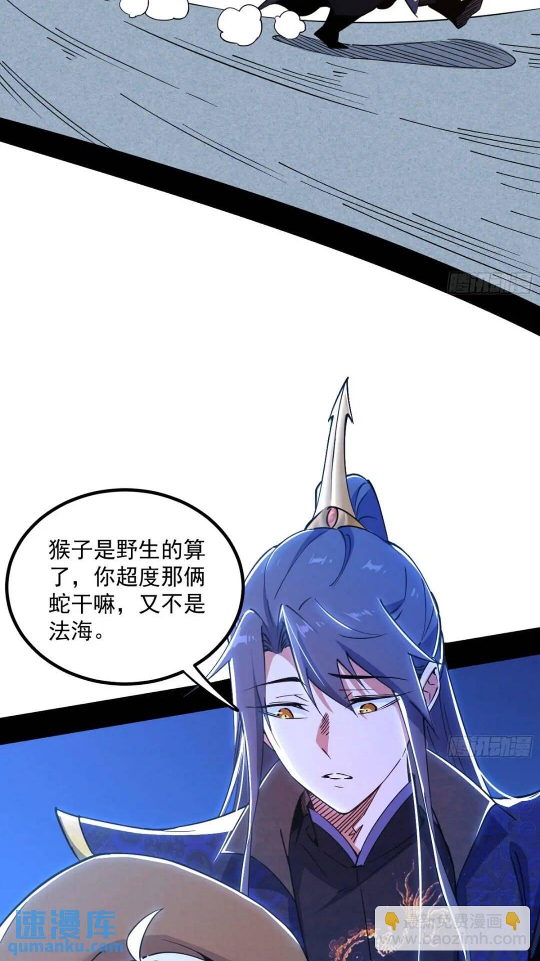 老虎与兔